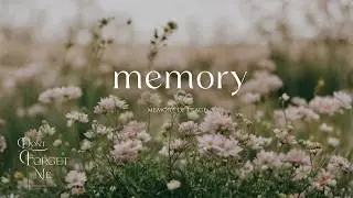 Memory of Peace 🌿🌸 Relaxing Guitar Music with Ambient Vibes for Sleep, Study, Meditation