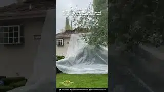 A New Roofing Project!