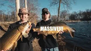 Fishing For MASSIVE 25lb Carp