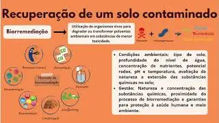 Recupera&ccedil;&atilde;o de um solo contaminado