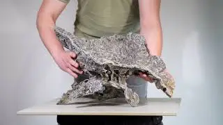 Ginkgo Hatás - Bonsai Pot - TR-130