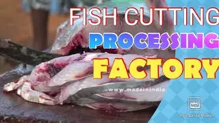 Amazing fish cutting Machines