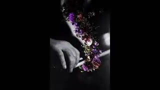 סן-סאנס:  הברבור   Saint-Saens:  The Swan