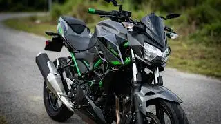 KAWASAKI Z250 ABS 2024 WALKAROUND