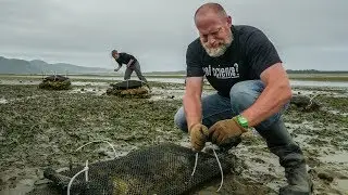 Using Oyster Shells to Decrease Acidic Seawater