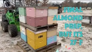 Merges at 27˚f must be on a deadline - 816 commercial beehives ready to load for Almond pollination