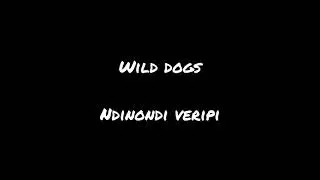 Wild dogs ndinondi veripi