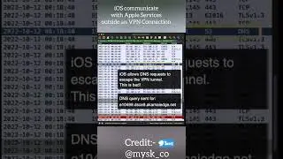 iOS Leak DNS request demo PoC @mysk_co