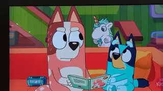 Chilli heeler gets mad at Unicorse 