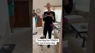 Teaching the TOUCH cue to your dog! #dogtrainer #newpuppy #touchcue