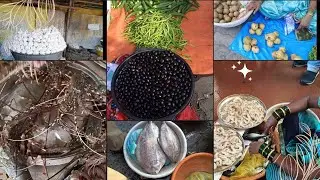 अलिबाग मधील सर्वात स्वस्त फिश मार्केट | alibag wholesale fish market | alibag bhaji mandai