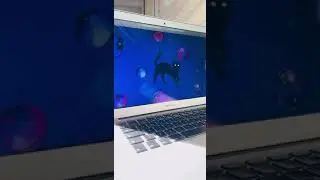 #shorts #animation #design #html #crypto #frontend