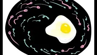 How to - Male Fertility test at home (live)