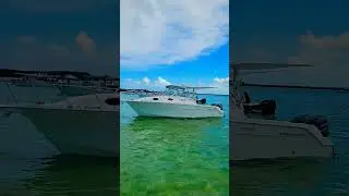 Billy's point