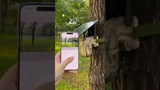 Trail camera with night vision: must-have for hunters! #fok #hunter