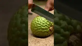 Marang Fruit Sand Cutting ASMR | Ultra Realistic Crunchy Slice Sounds #asmr #shorts #fruitasmr