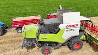 Żniwa 2024 Claas Trion 640