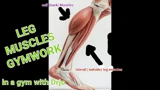 Lower leg Muscle gymwork/ training