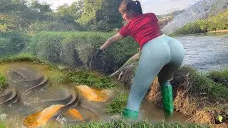 Amazing Fishing Harvesting Many Fish From Abandoned Lake By Pump