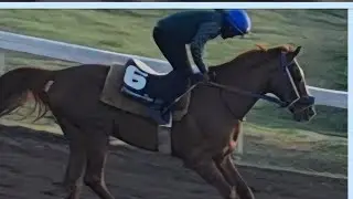 GOD of THUNDER/OF A REVOLUTION SOPHIE SAY SO   take a look at them Caymanas Park Exercise Track 