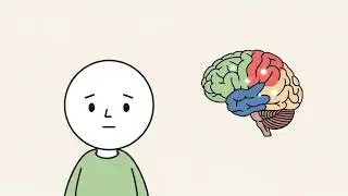 The Secret Power of Night Owls (It's Not Laziness)