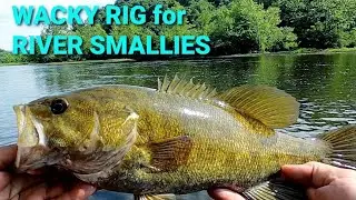 CHEAT RIVER SMALLMOUTH