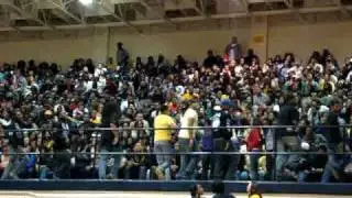 Phi Beta Sigma Stroll-NCAT