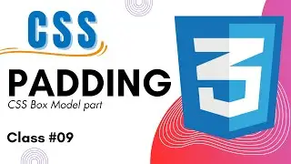 What is Padding in CSS | How to Add Padding in CSS | Daily Coding | Class 09