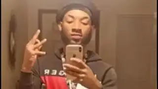 Zilla mode