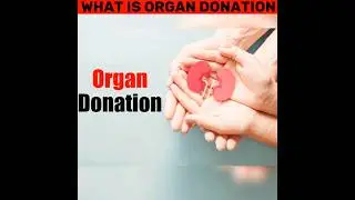 OMG ❤️ TISSUE DONATION AND 🫁🫀 ORGAN  DONATION #shorts #organ #donation #organdonation  #Rv_Yadav