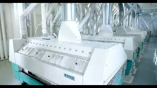 B&uuml;hler Group: Powering Innovation in Jordan's Manufacturing Industry