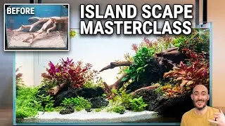 How to Build a STUNNING Island-Style Nano Aquascape (Step-by-Step)
