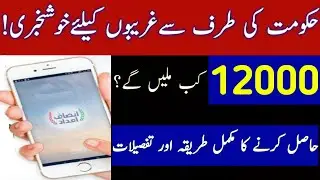 Insaf Imdad Program 2020 Govt of Punjab/How to Apply Online/Full information /Insaf Imdad App