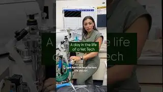 Day in the life of a Vet Tech
