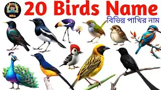 Birds Name for Kids | 20 Common Birds Name in English with Pictures