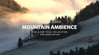 Mountain Ambience | Feel the wind, Wave of fog mist flow and Birds singing | No Copyright Sounds
