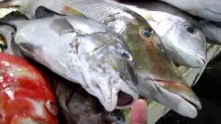 Fish market near Jimbaran beach