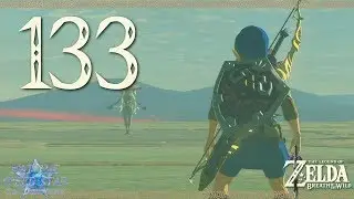 Breath of the Wild - Part 133: Champion's Challenge