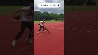 German Boxer playing Basketball #GermanBoxer #deutscherboxer #defense  #baller #goprodog #doglife