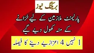 Employee Salaries in Pakistan| #salaryincreaseinbudget2022 #employeenews