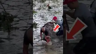 Caught a Giant Fish with Bare Hands &ndash; Too Funny! #fishing #short