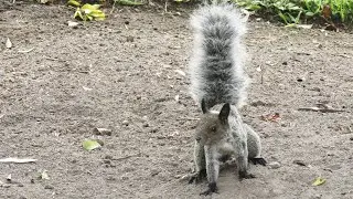 Que ver en Lima en 1 d&iacute;a - Per&uacute;