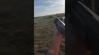 Snipe Hunt in Florida