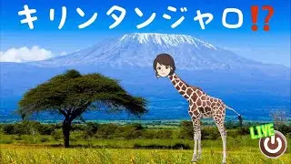 【ダジャレ大会】キリマンジャロにきりんたん⁉️キリンタンジャロwこれを超えるダジャレ募集〜天使LIVE🤎