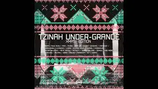 Olivian Nour - Fara Nume (Original Mix) // TZH110
