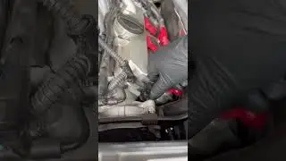 Audi без щупа? Как вручную проверить уровень масла в Audi #sq5 #howto #tips #diy #audi #oil