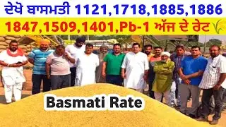 Basmati rate 1121 1718 1885 1886 1847 1509 1401 Pb-1 taaja Mandi bhav today tmb info basmati paddy