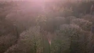 4K  drone video Mastbos breda (9 - 01 - 2021)