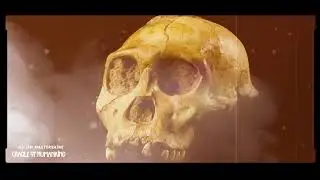 DJ Jim Mastershine x Korie Minors - Uthando Lwam ft. Eleh (Visualiser)