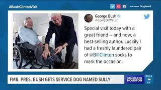 Bush 41 gets service dog named Sully
